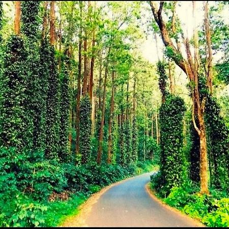Sp Resort Inn Yercaud Exteriör bild