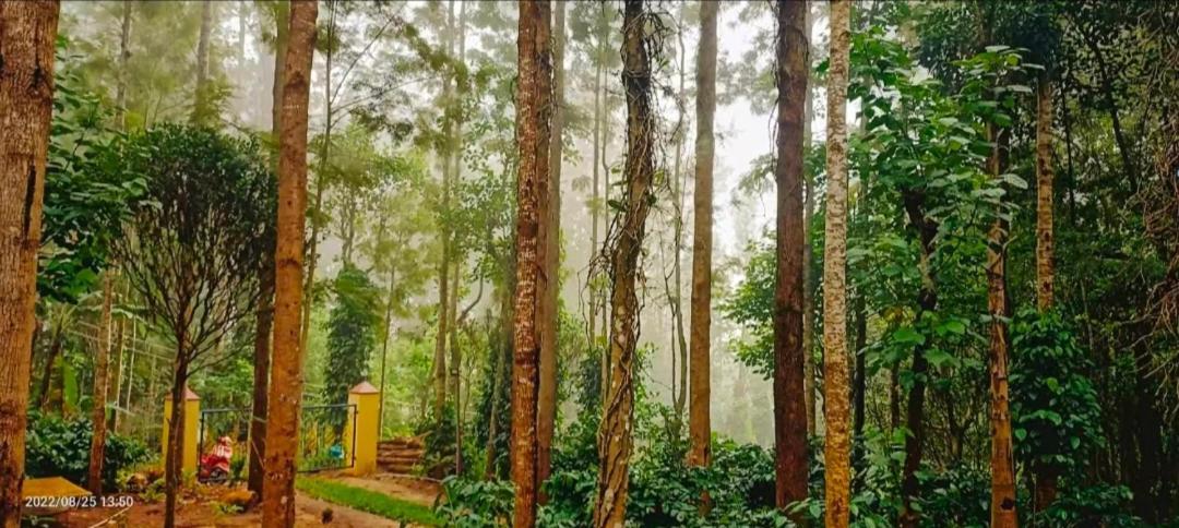 Sp Resort Inn Yercaud Exteriör bild
